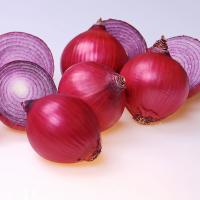 Valentine Short Day Onion Crookham Company