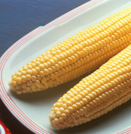 Crookham Sweet Corn Bodacious Film