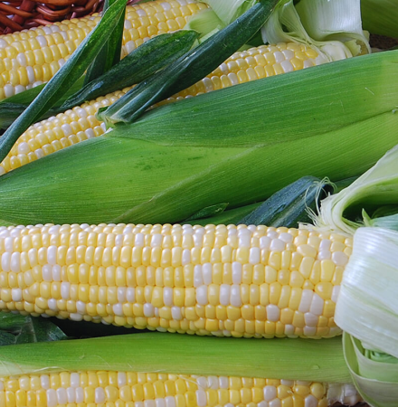 Crookham Sweet Corn Nectar