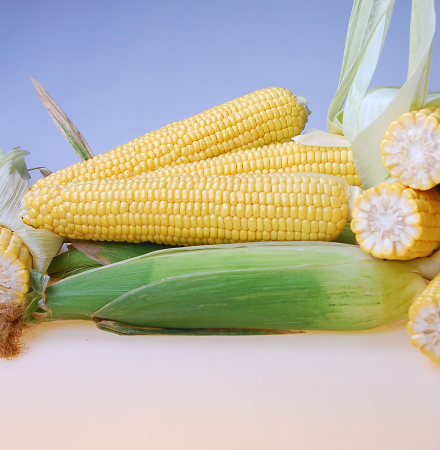 Bratella Crookham Sweet Corn Processor Bratella Crookham Sweet Corn Processor