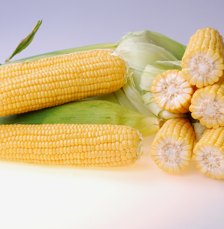 Salyna Crookham SweetCorn Processors Salyna Crookham SweetCorn Processors