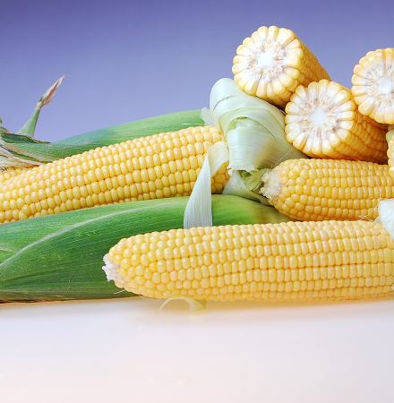 Royalty Sweet Corn Processors_Crookham Company Royalty Sweet Corn Processors_Crookham Company