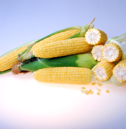Samyra Sweet Corn Processor Crookham Company Samyra Sweet Corn Processor Crookham Company
