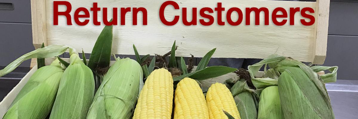 Crookham company, augmented hybrids corn