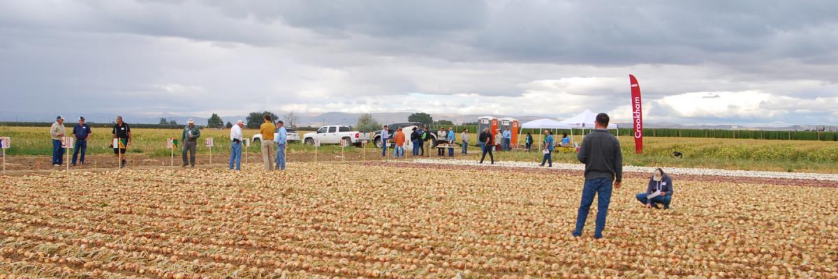 Crookham Summer Onion Show, August 28